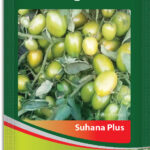 Tomato- Suhana Plus