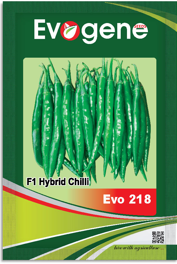 Chilli- Evo 218
