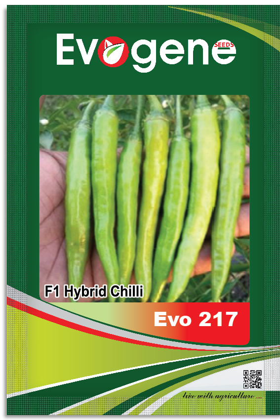 Chilli- Evo 217