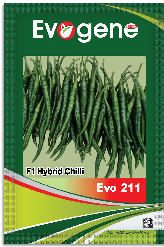 Chilli- Evo 211