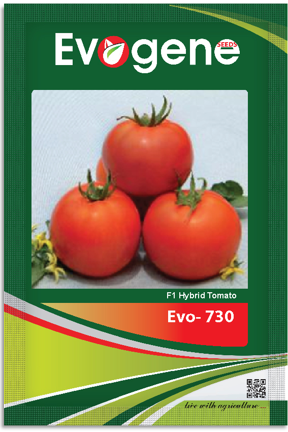 Tomato	Evo 730