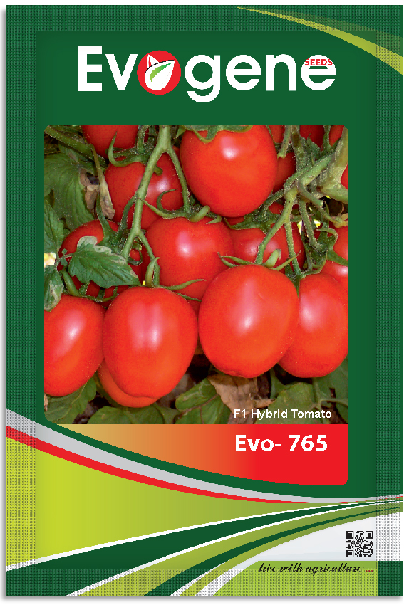 Tomato-	Evo 765