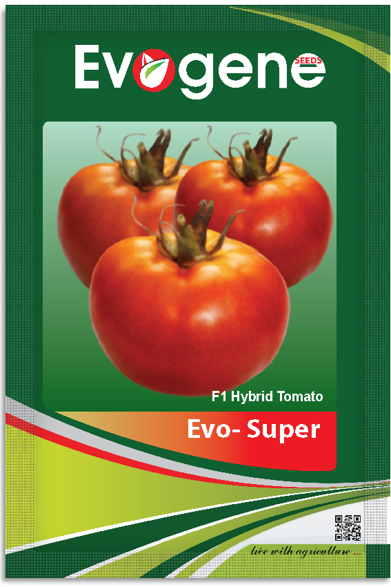Tomato- Evo Super