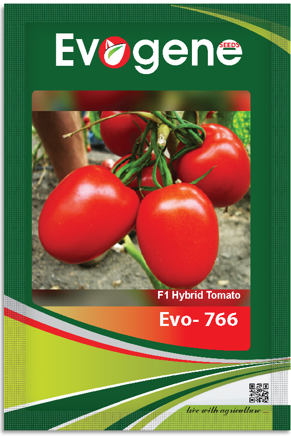 Tomato-	Evo 766