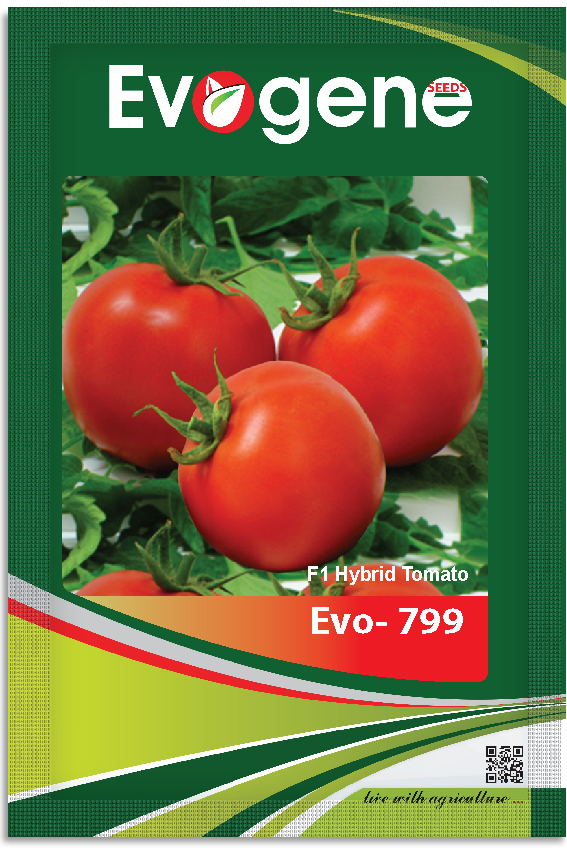 Tomato-	Evo 799