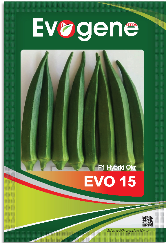 Okra- Evo 18