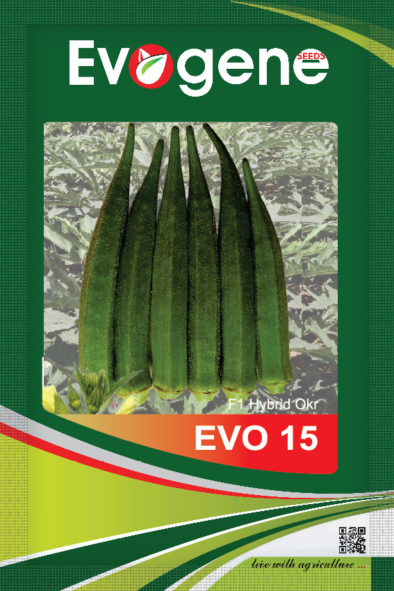 Okra- Evo 15