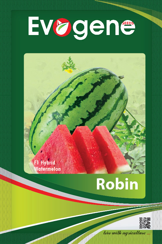 Watermelon-	Robin
