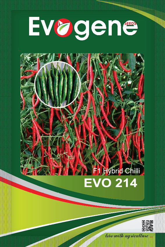 Chilli- Evo 214