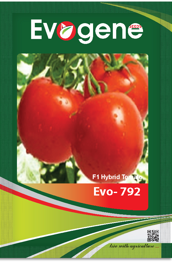 Tomato-	Evo 792