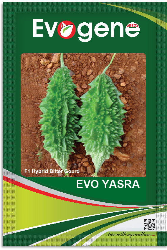 Bitter Gourd- Evo Yasra