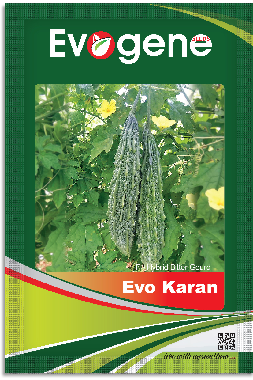 Bitter Gourd- Evo Karan