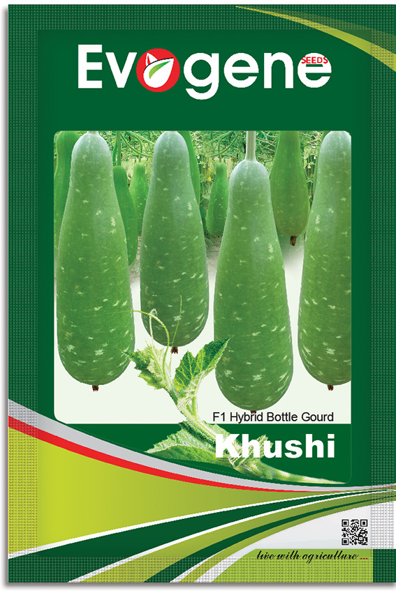 Bottle Gourd- Khushi