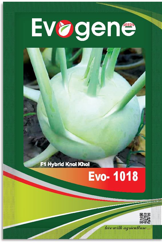 Knol Khol- Evo 108