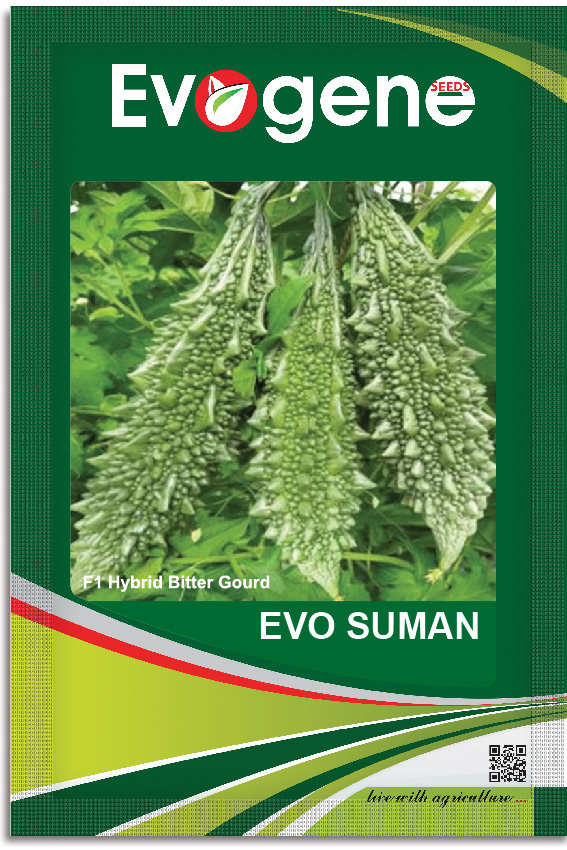 Bitter Gourd- Evo Suman