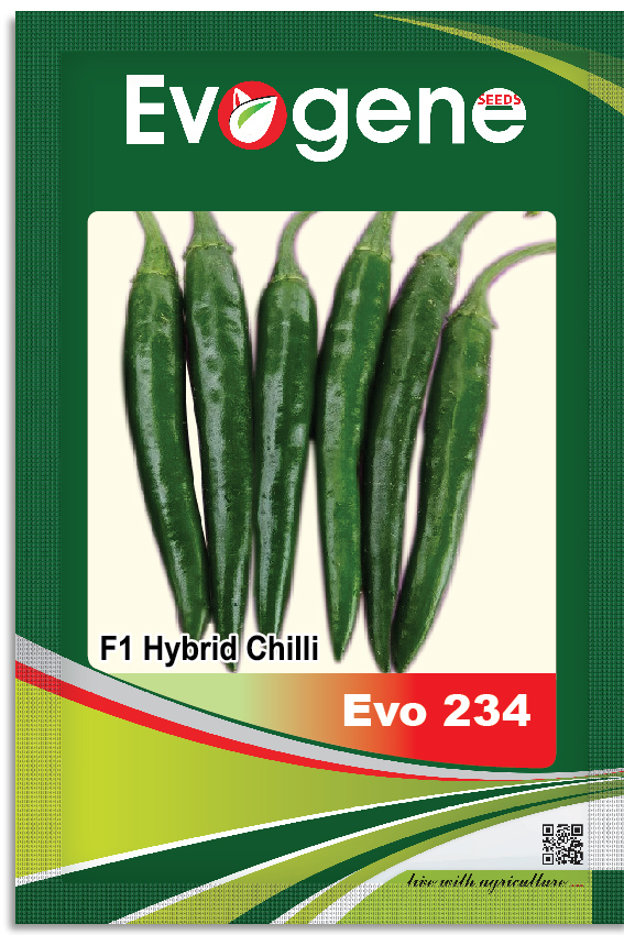 Chilli Evo 234